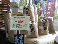 安井米店のコシヒカリ100%ブレンド米　「一稲匠」(いっとうしょう)　