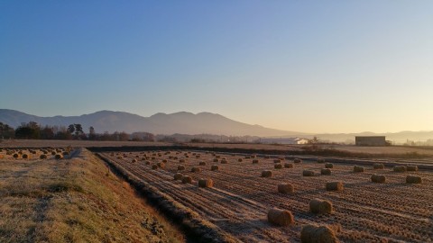 白倉浅間山