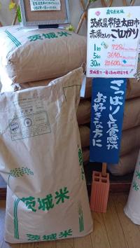 茨城県常陸太田市産、赤須さんの「コシヒカリ」