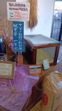 福井県産 減農薬栽培「いちほまれ」