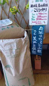栃木県北産「コシヒカリ」