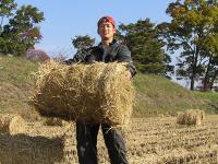 長野県東御市 白倉ライスファーム “農薬無使用米”「コシヒカリ」　