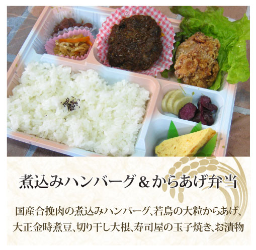 煮込みハンバーグ&からあげ弁当