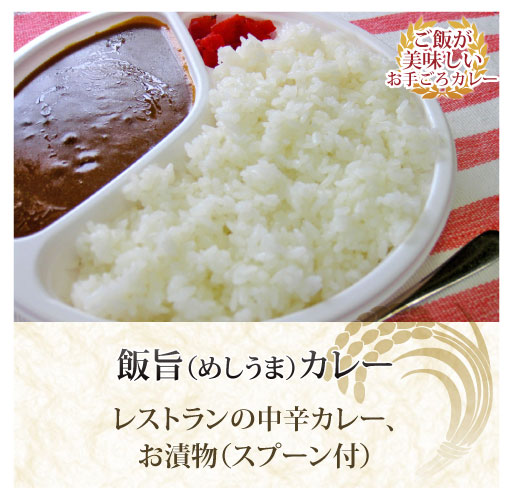 飯旨カレー弁当